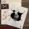 Parrot Crack Decals Cute Bumper Stickers Anniversary Gifts For Men