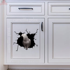 Parrot Crack Decals Cute Bumper Stickers Anniversary Gifts For Men