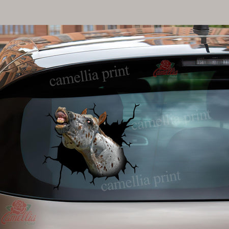 Appaloosa Horse Crack Sticker Kawaii Cuteness Overloaded Outdoor Stickers Customized Gifts