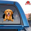 Golden Retriever Crack Decals For Cars Cute Sticker Christmas Gifts