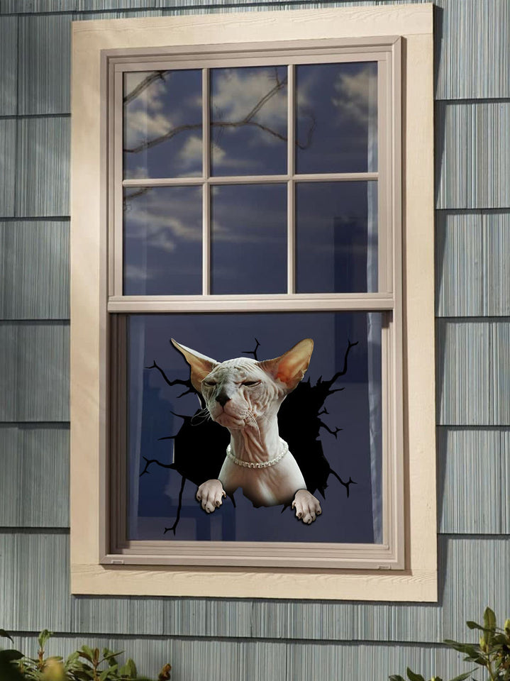 [da0013-snf-tnt]-sphynx-cat-crack-car-sticker-cats-lover