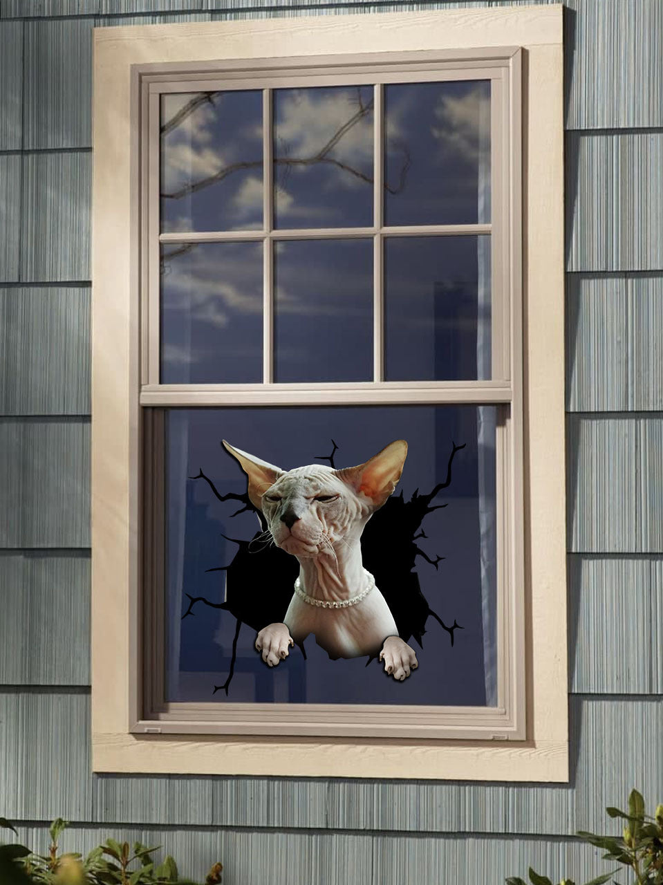 [da0013-snf-tnt]-sphynx-cat-crack-car-sticker-cats-lover