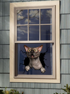 [da0015-snf-tnt]-sphynx-cat-crack-car-sticker-cats-lover