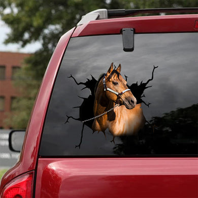 [sk1275-snf-tnt]-american-quarter-horse-crack-sticker-cattle-lover