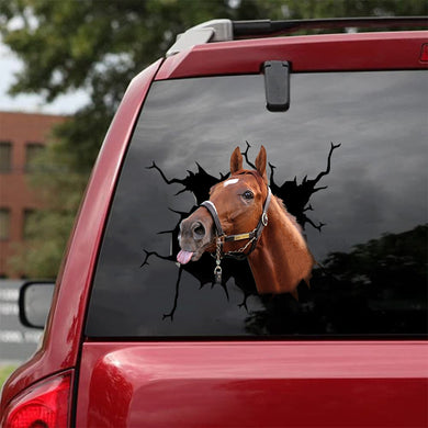 [sk1278-snf-tnt]-thoroughbred-horse-crack-sticker-cattle-lover