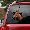 [sk1278-snf-tnt]-thoroughbred-horse-crack-sticker-cattle-lover
