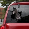 [sk1852-snf-tnt]-arabian-horse-crack-sticker-cattle-lover