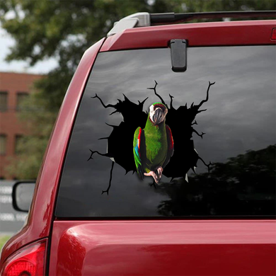 [sk1964-snf-tnt]-parrot-crack-sticker-birds-lover