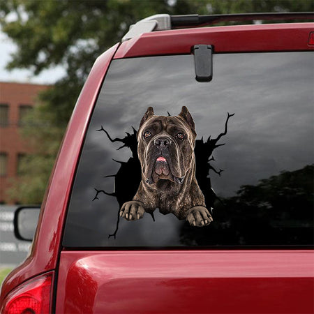 [dt0166-snf-tnt]-cane-corso-crack-car-sticker-dogs-lover