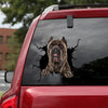 [dt0166-snf-tnt]-cane-corso-crack-car-sticker-dogs-lover