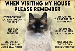 [ha6328-snf-tnt]-cats-poster--lover