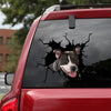 [sk1734-snf-vdt]-custom-dog-crack-car-sticker-dogs-lover