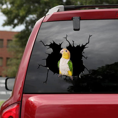 [sk1824-snf-tnt]-parrot-crack-sticker-birds-lover