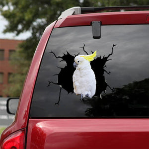 [sk1827-snf-tnt]-parrot-crack-sticker-birds-lover