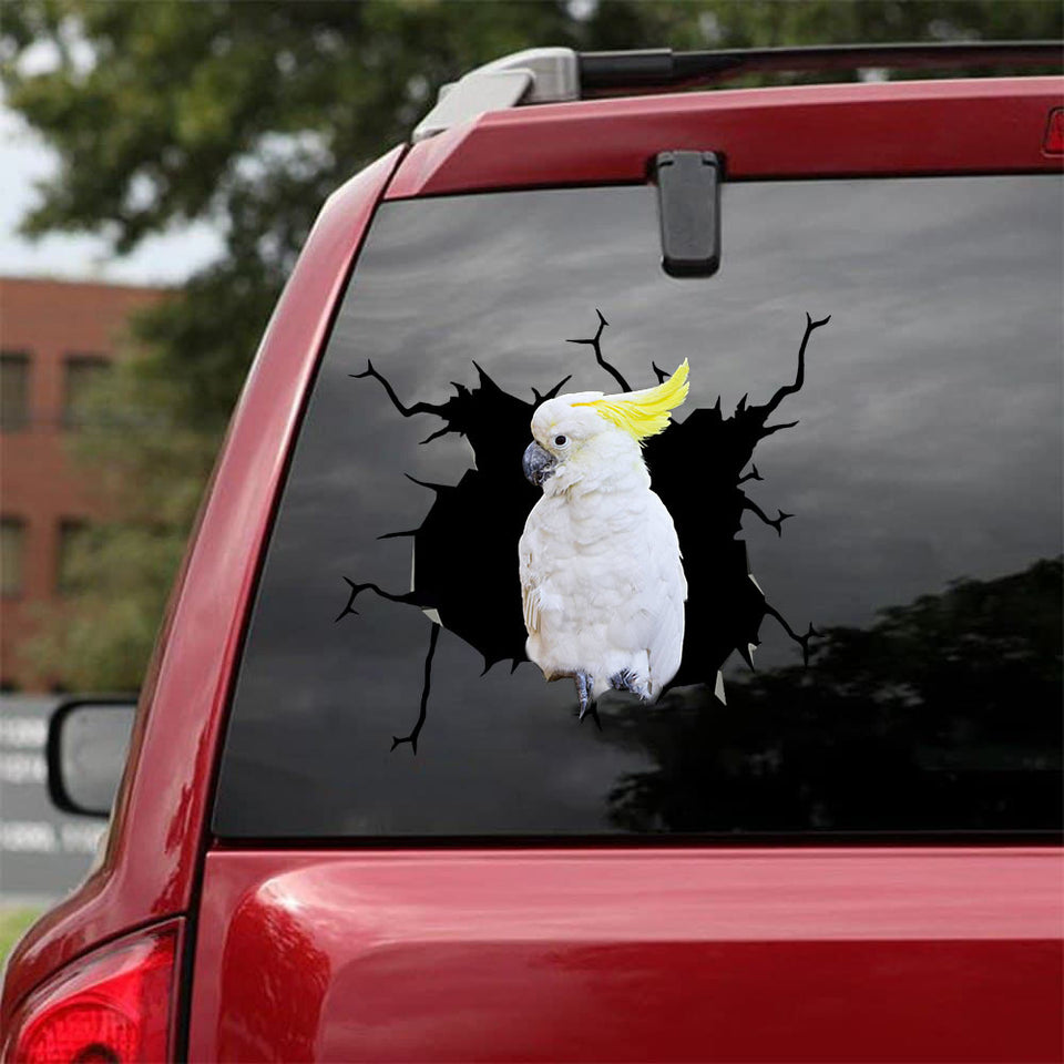 [sk1827-snf-tnt]-parrot-crack-sticker-birds-lover