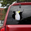 [sk1827-snf-tnt]-parrot-crack-sticker-birds-lover