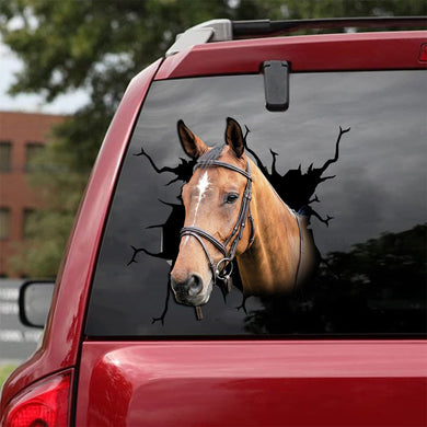 [sk1853-snf-tnt]-tennessee-walking-horse-crack-sticker-cattle-lover