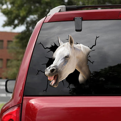 [sk1855-snf-tnt]-arabian-horse-crack-sticker-cattle-lover